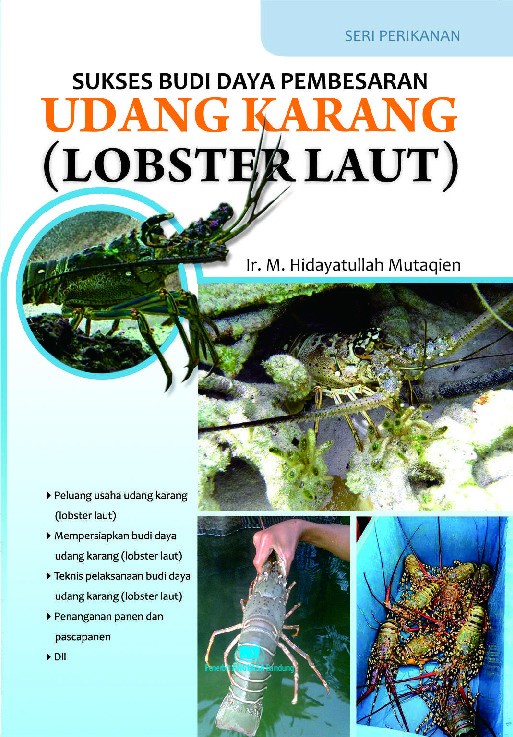 Sukses Budi Daya Pembesaran Udang Karang (Lobster Laut)